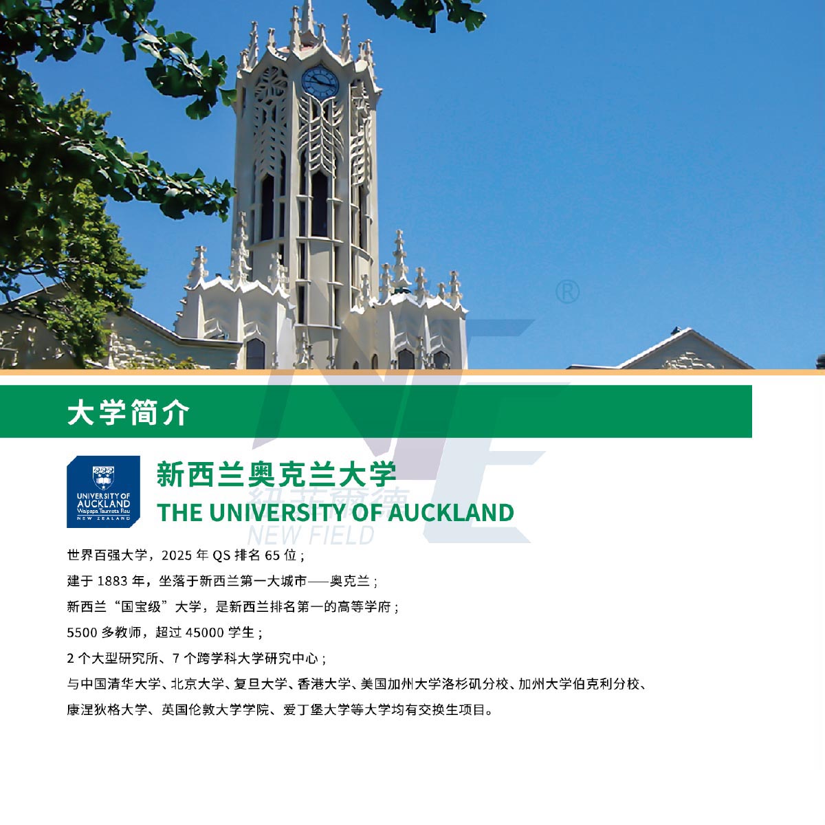 新西兰绿色通道-3 拷贝.jpg