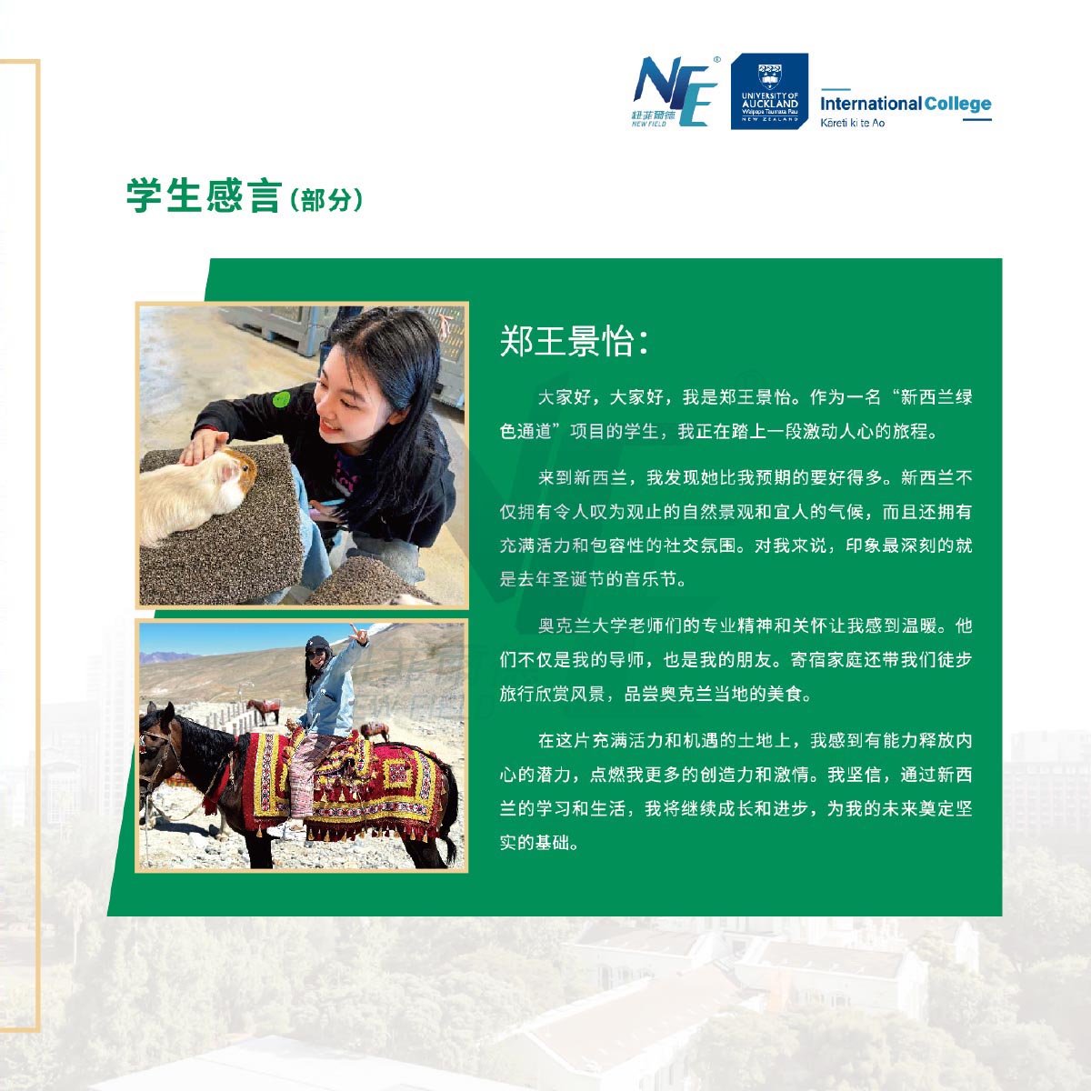 新西兰绿色通道-14 拷贝.jpg