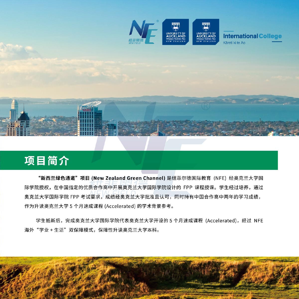 新西兰绿色通道-2 拷贝.jpg